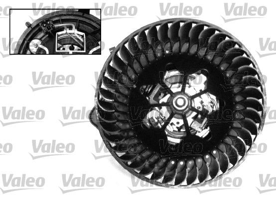 Interior Blower