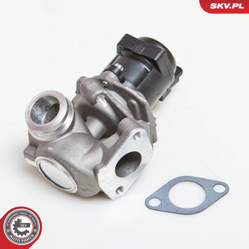 EGR Valve