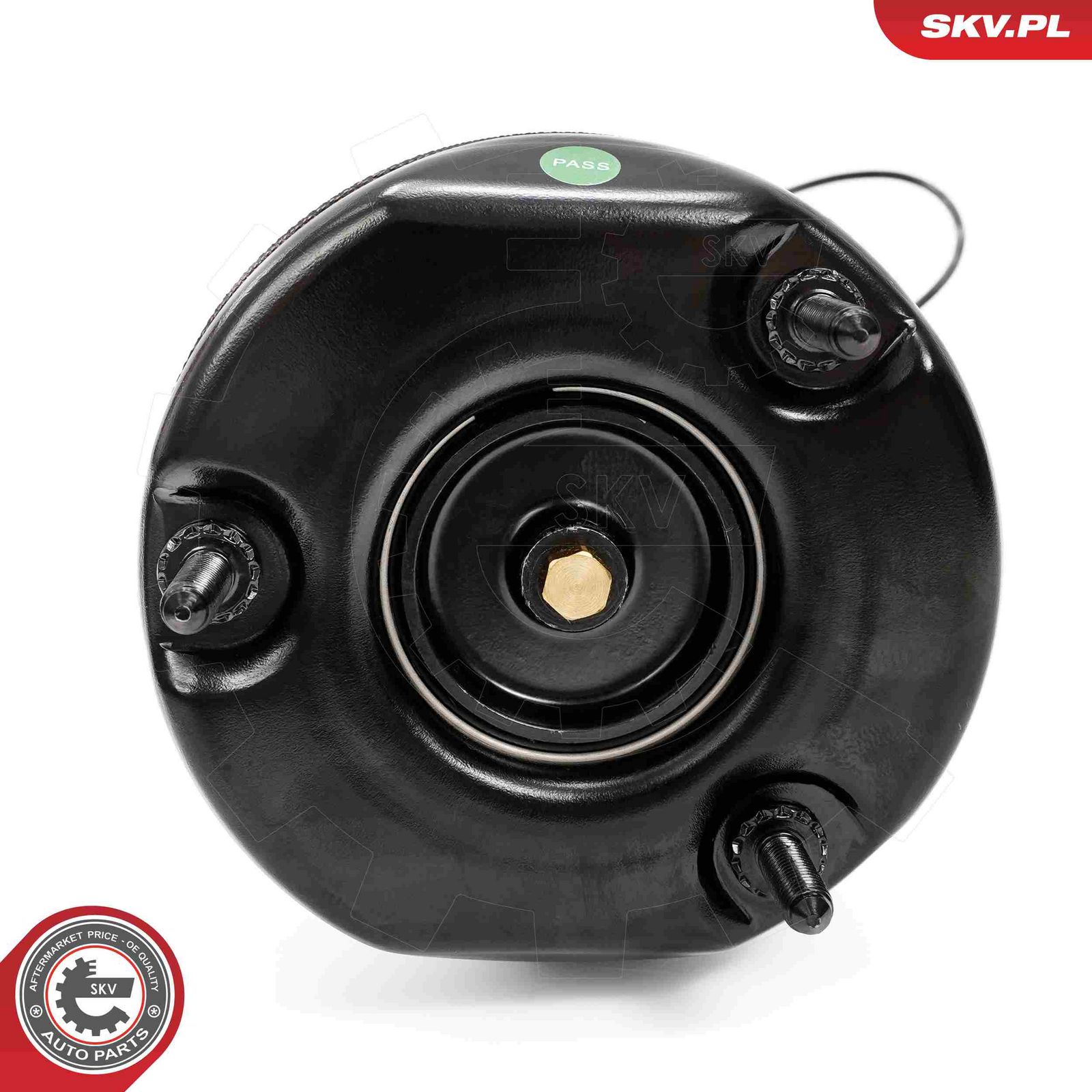 Air Suspension Strut-3