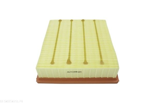 AUTOMEGA 180018510 Air filter
