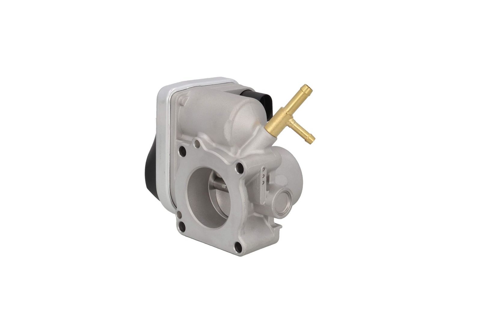 Throttle Body-1