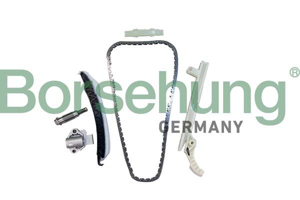 BORSEHUNG B12556 Timing chain kit