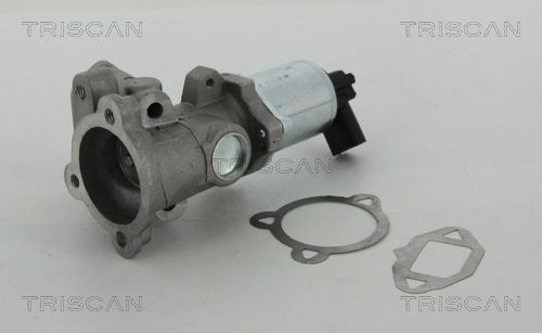 TRISCAN 8813 15052 Egr valve
