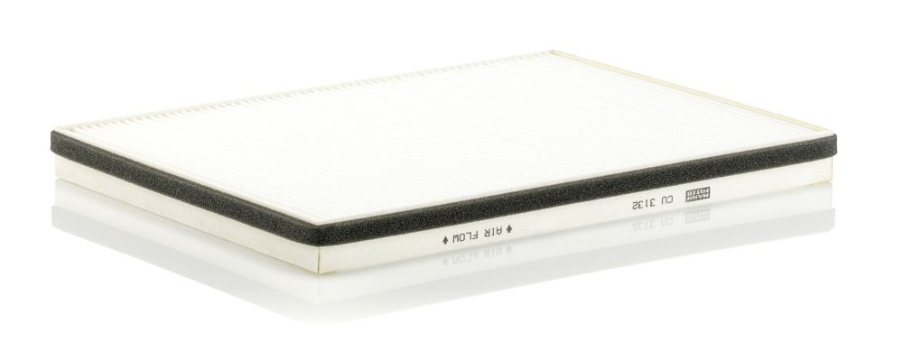 filtras, salono oras