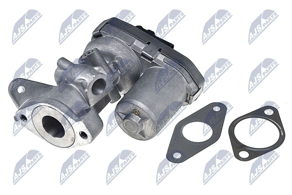 EGR Valve-1