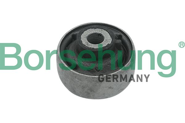 BORSEHUNG B18718 Mounting, control/trailing arm