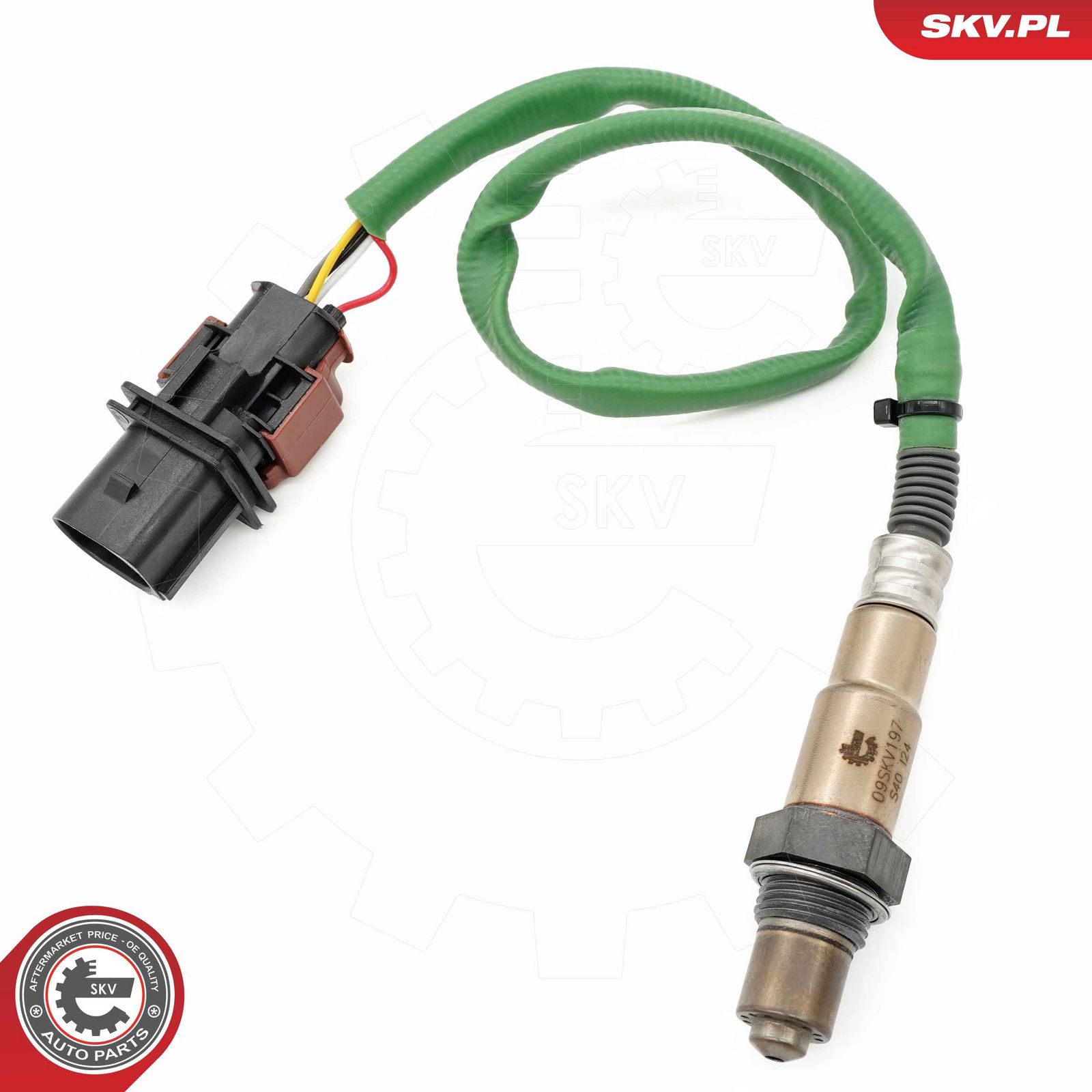 Oxygen Sensor-2