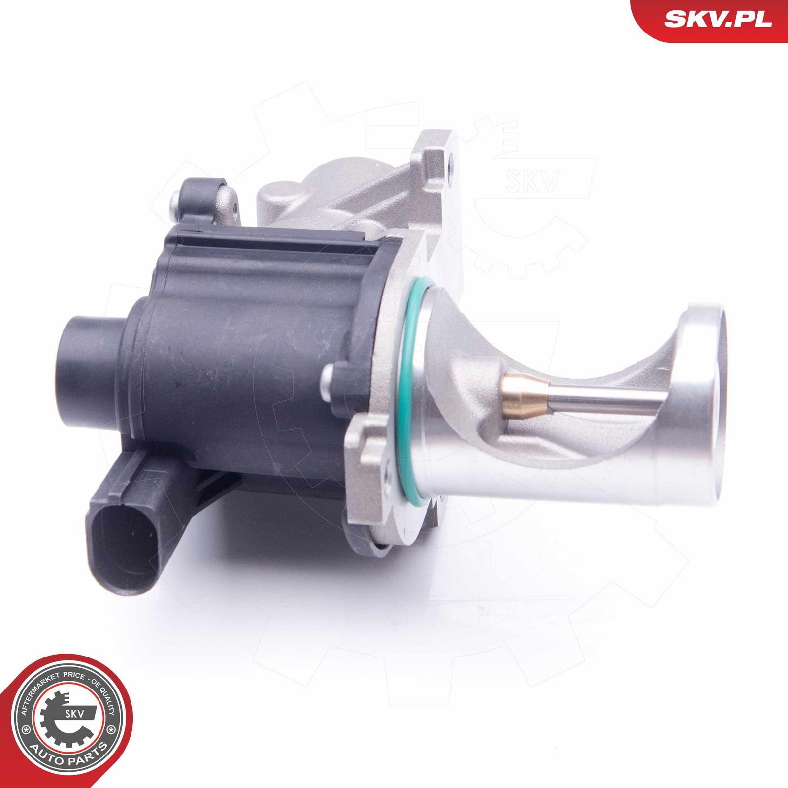 EGR Valve-1
