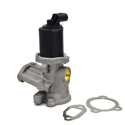 MAGNETI MARELLI 571822112003 Egr valve