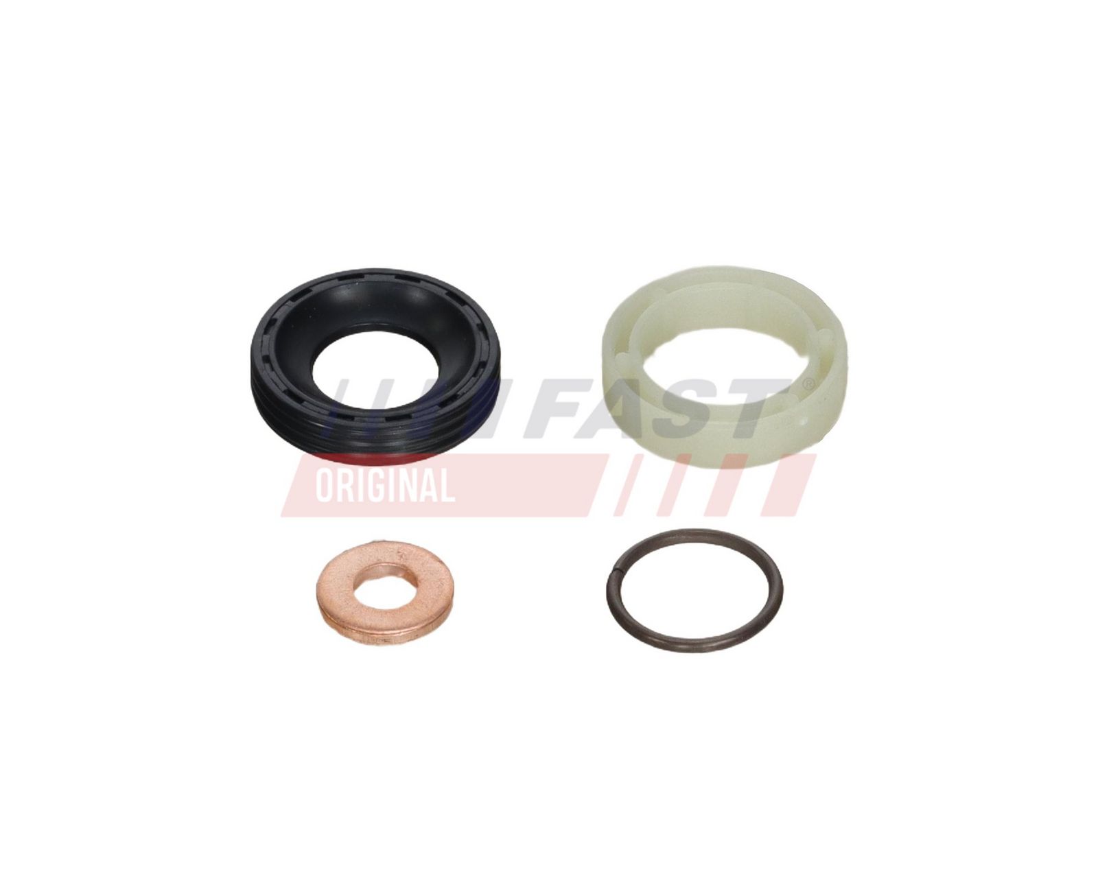 FAST FT49842 Repair kit, unit injector