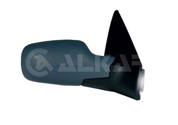 Exterior Mirror