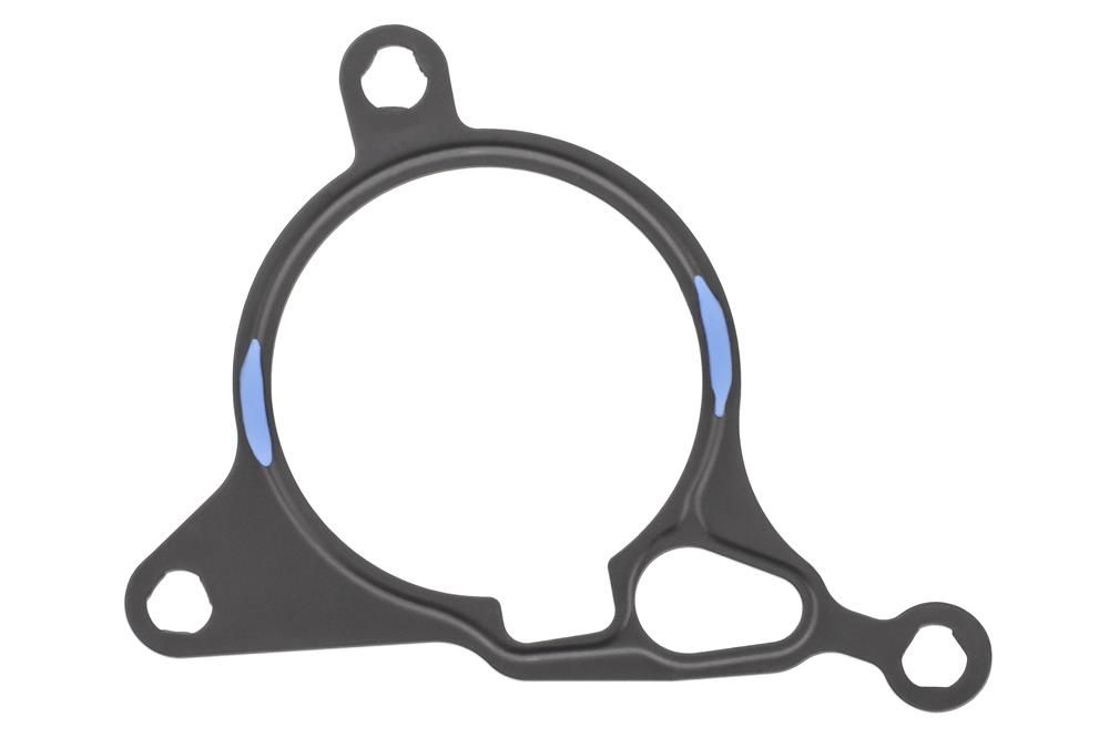 Gasket, vacuum pump