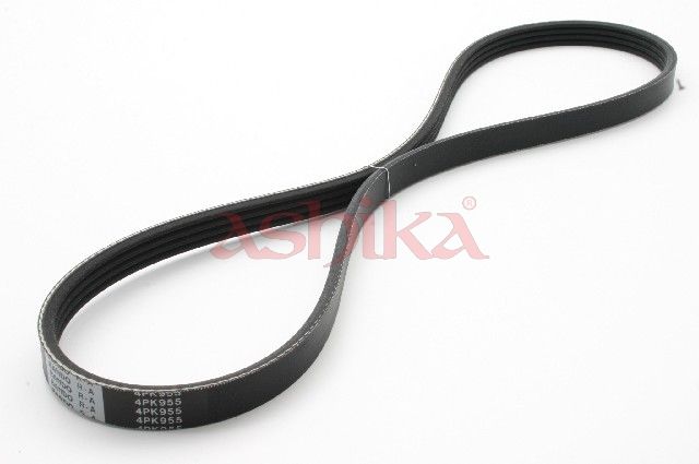 ASHIKA 112-4PK955 V-ribbed belt