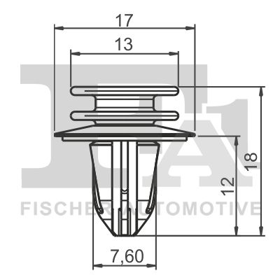 Clip, trim/protection strip-1