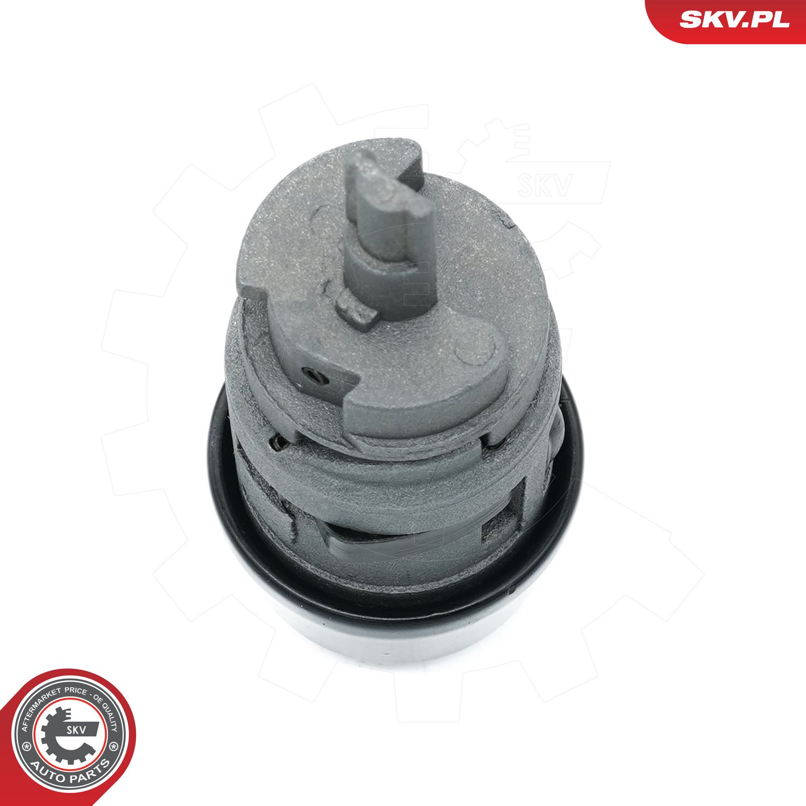 Lock Cylinder, ignition lock-2