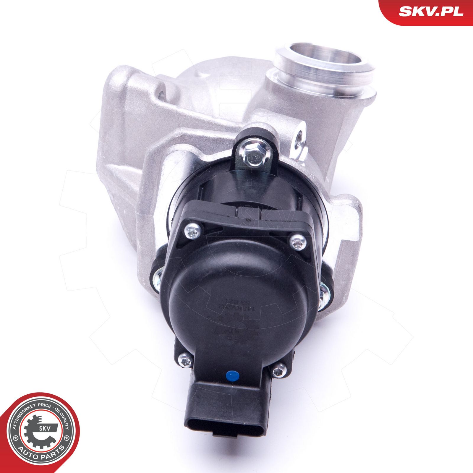 EGR Valve-2