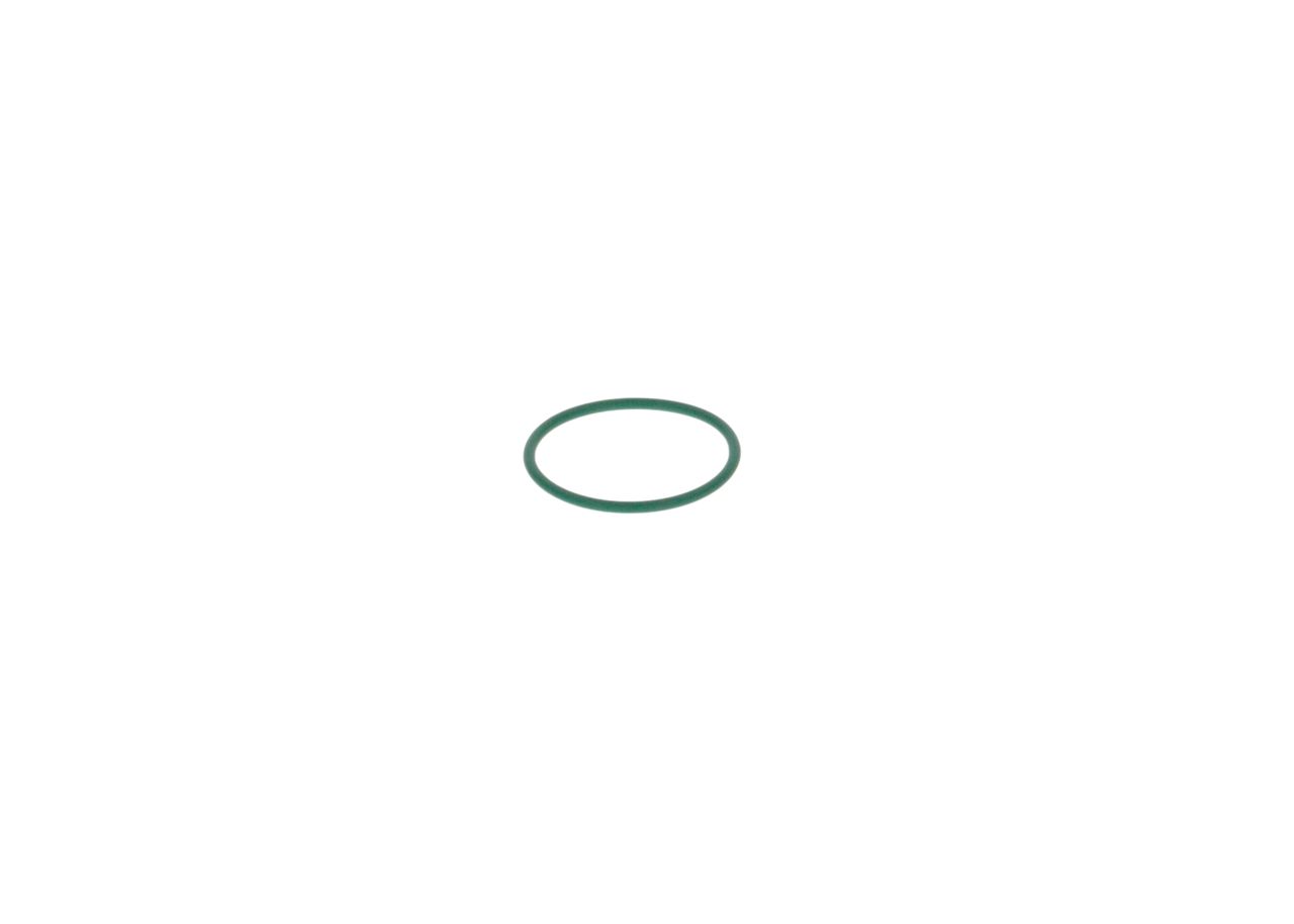 Rubber Ring-1