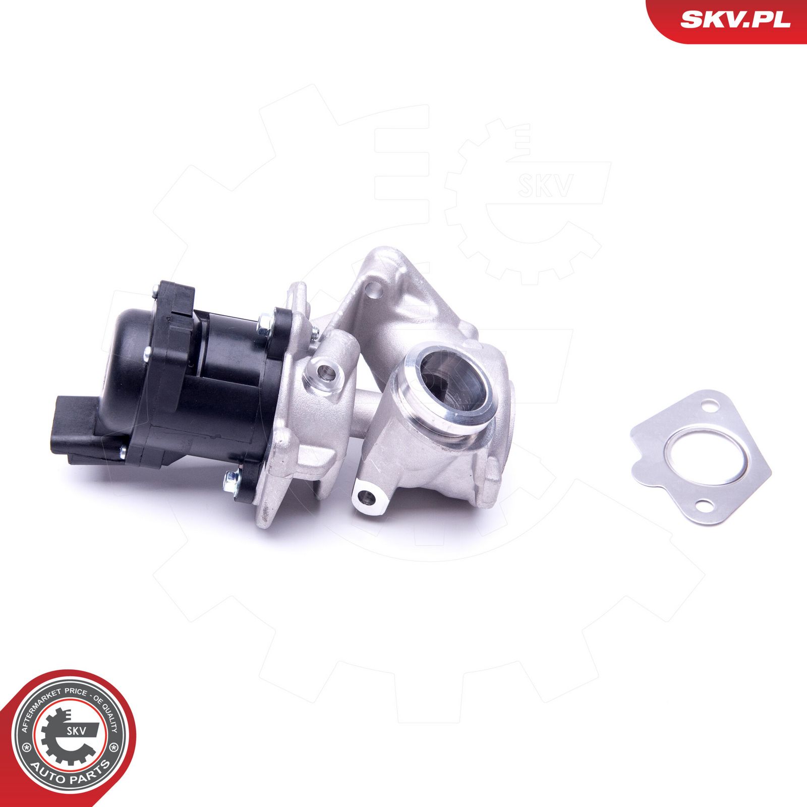 EGR Valve-1