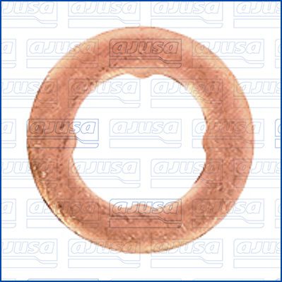Seal Ring, injector-1