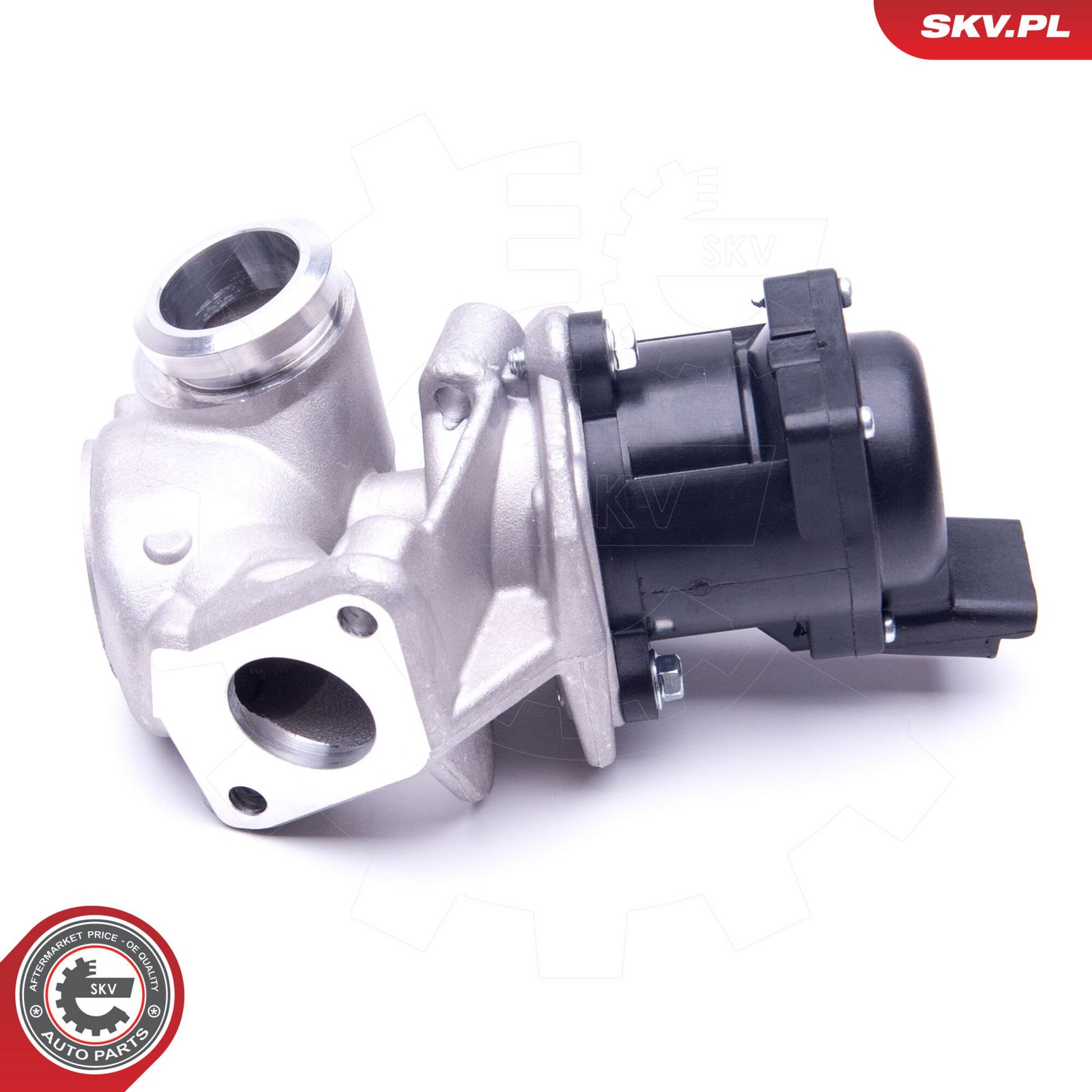 EGR Valve-main