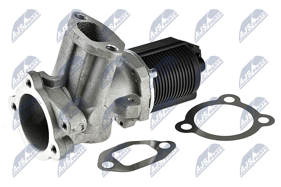 EGR Valve-1