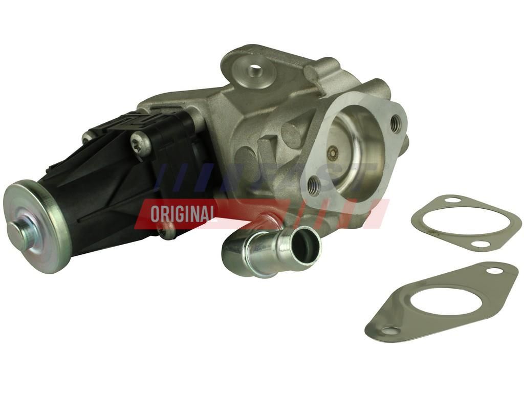 FAST FT60223 Egr valve