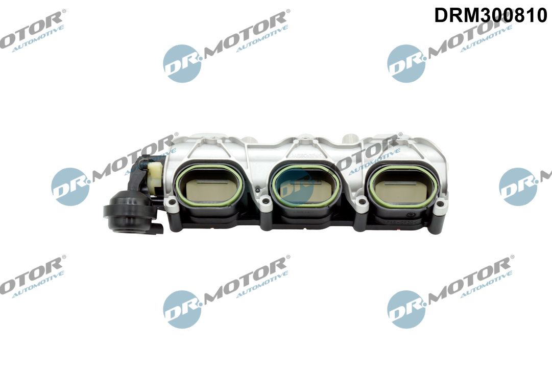 DR.MOTOR AUTOMOTIVE DRM300810 Intake manifold module