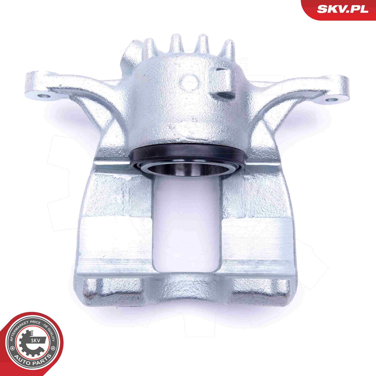 Brake Caliper-2