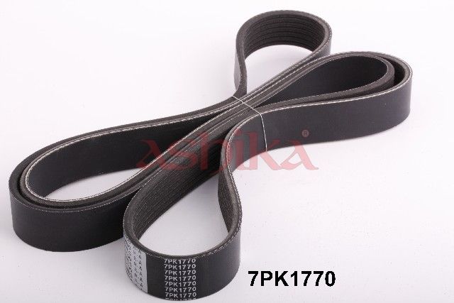 ASHIKA 112-7PK1770 V-ribbed belt