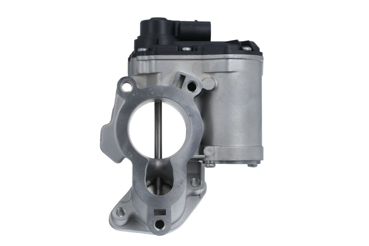 EGR Valve-1