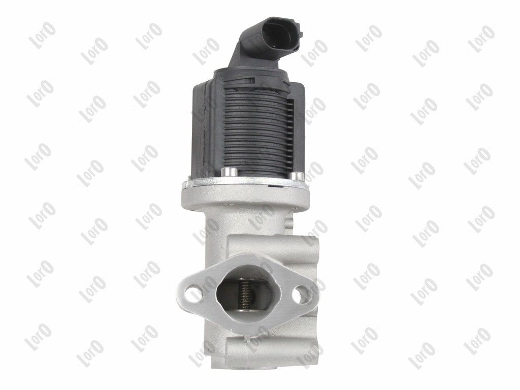 EGR Valve-2