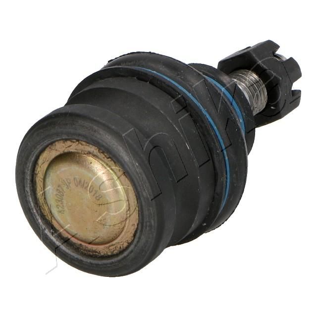 Šarnyras / girgždukas-2