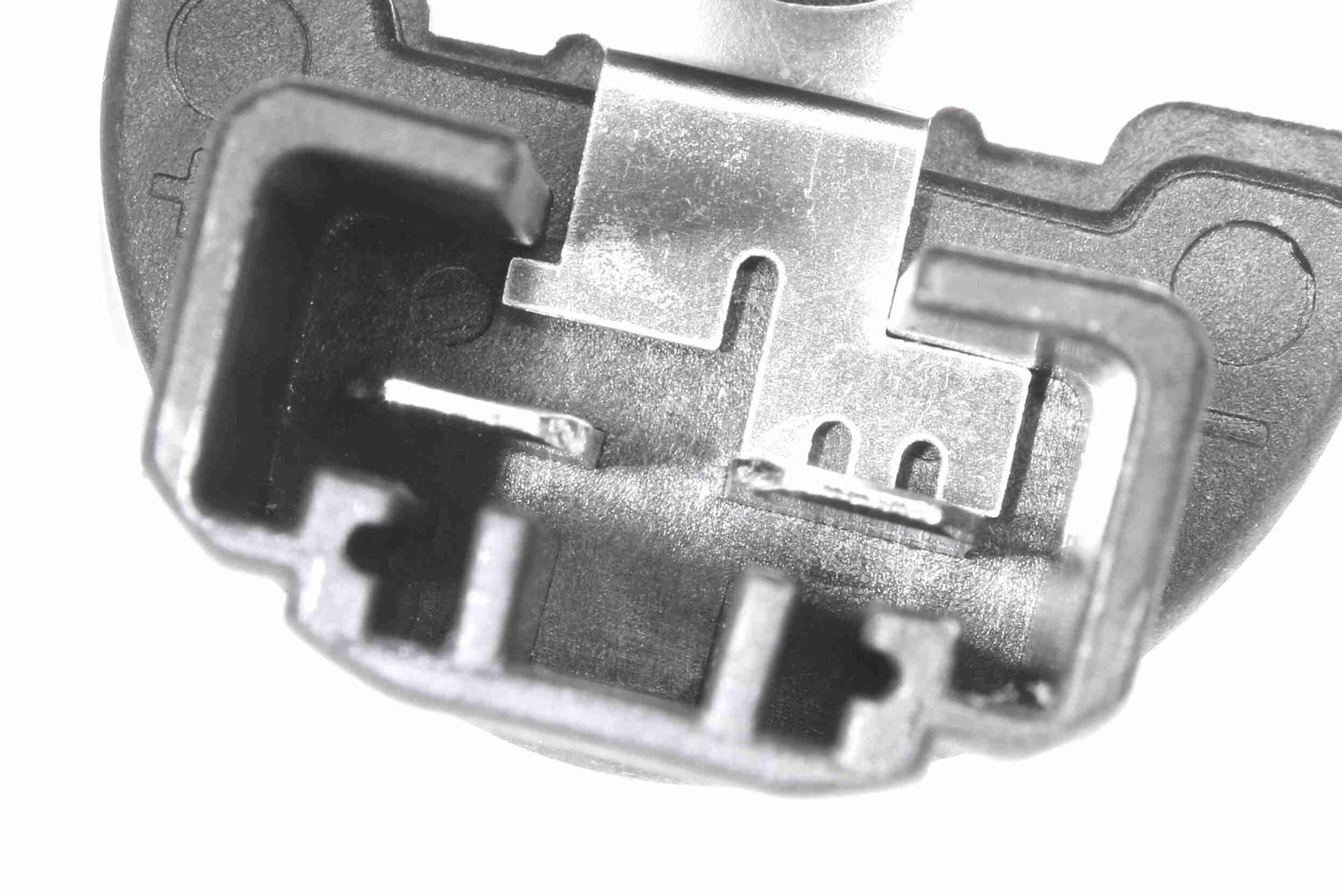 Fuel Pump-1