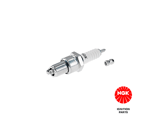 Spark Plug-1