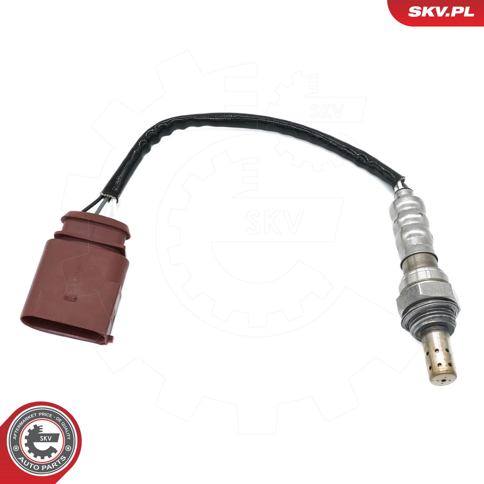 Oxygen Sensor