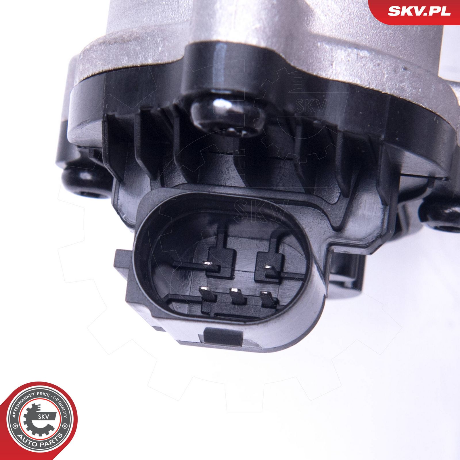 EGR Valve-1