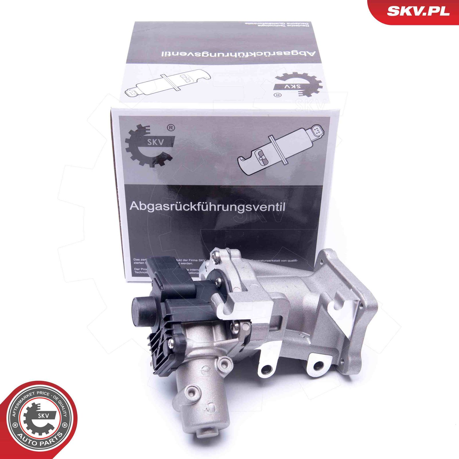 EGR Valve-5