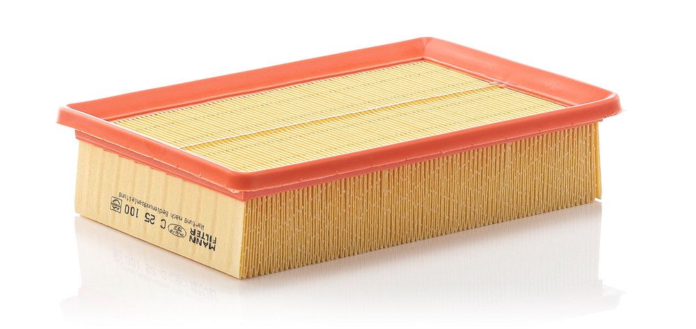 MANN-FILTER C 25 100 Air filter