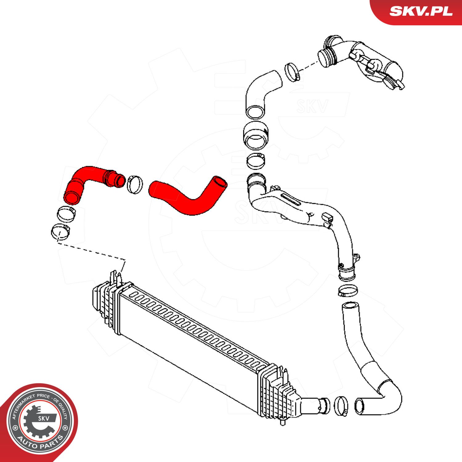 Charge Air Hose-2