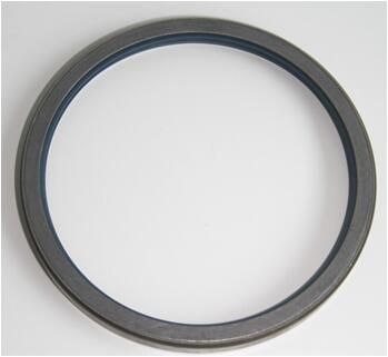 Shaft Seal, wheel hub-1