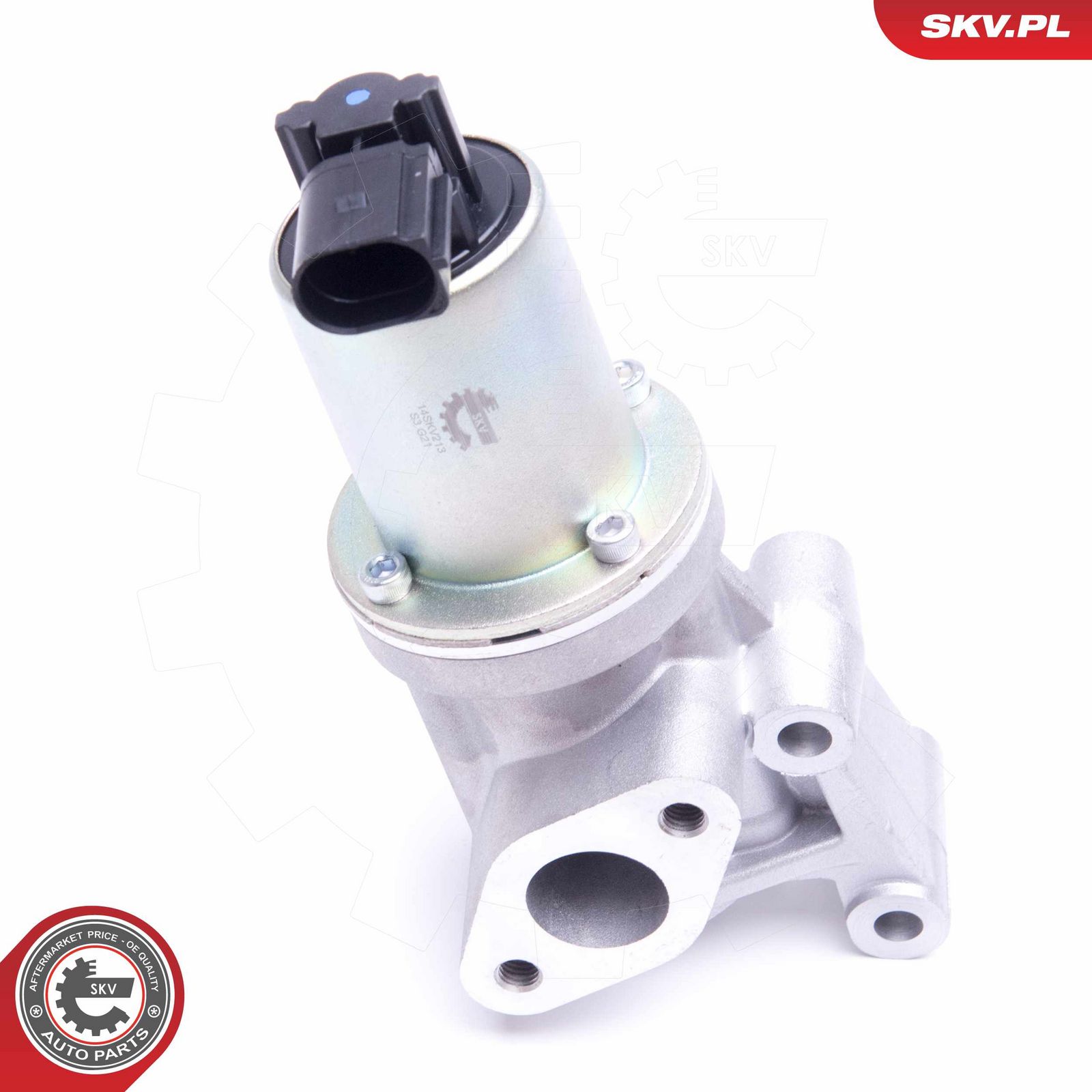EGR Valve