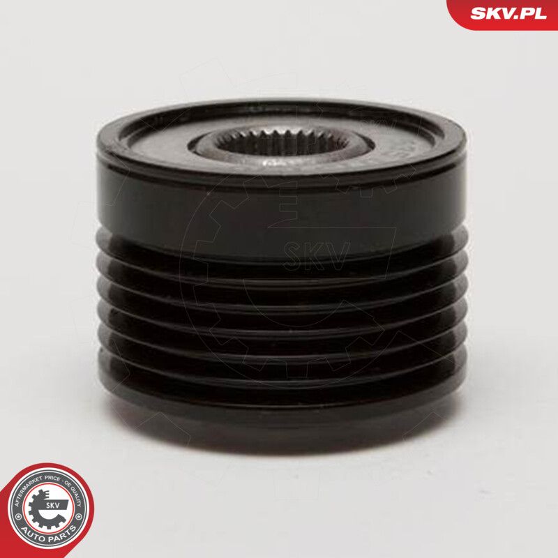Alternator Freewheel Clutch-3