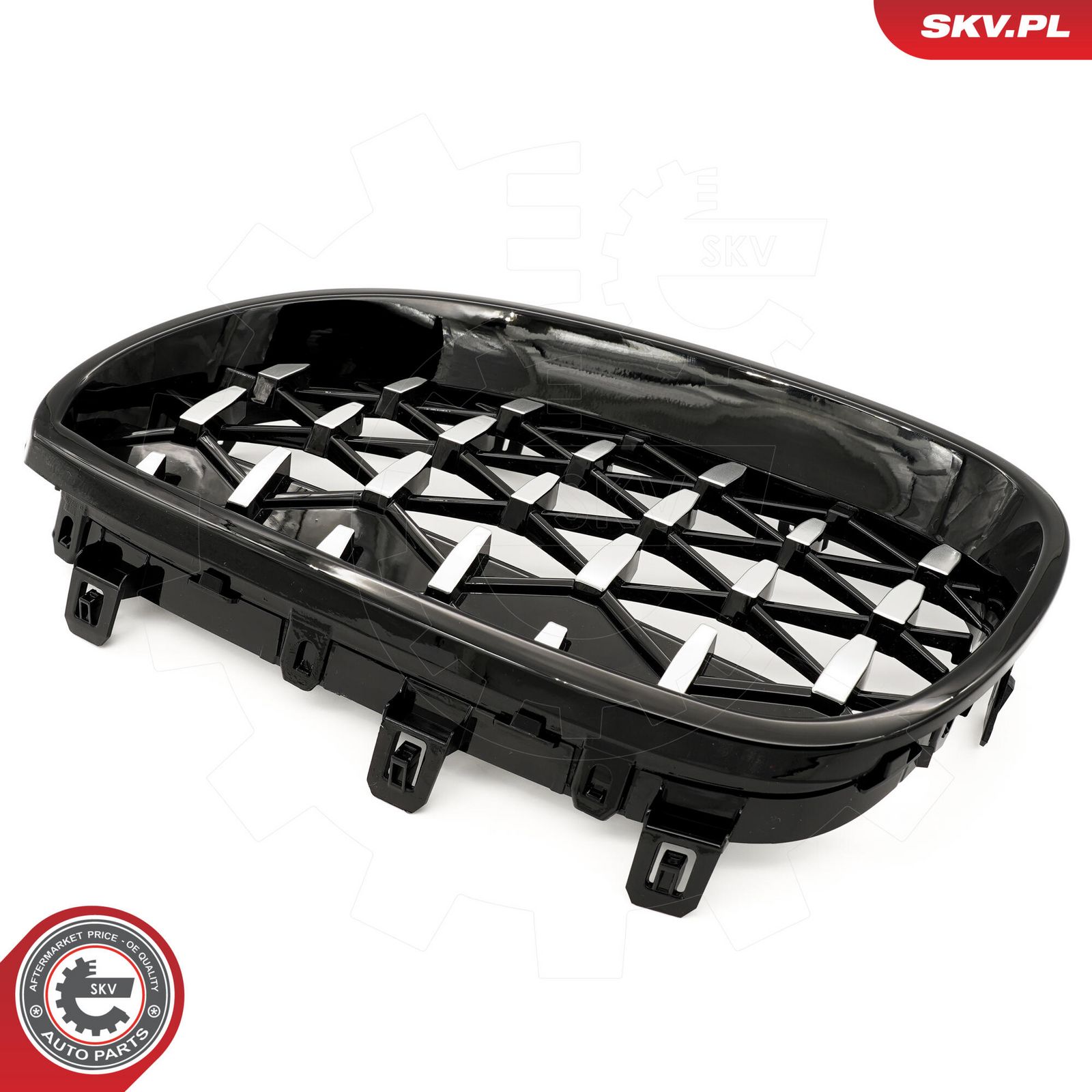 Radiator Grille-6