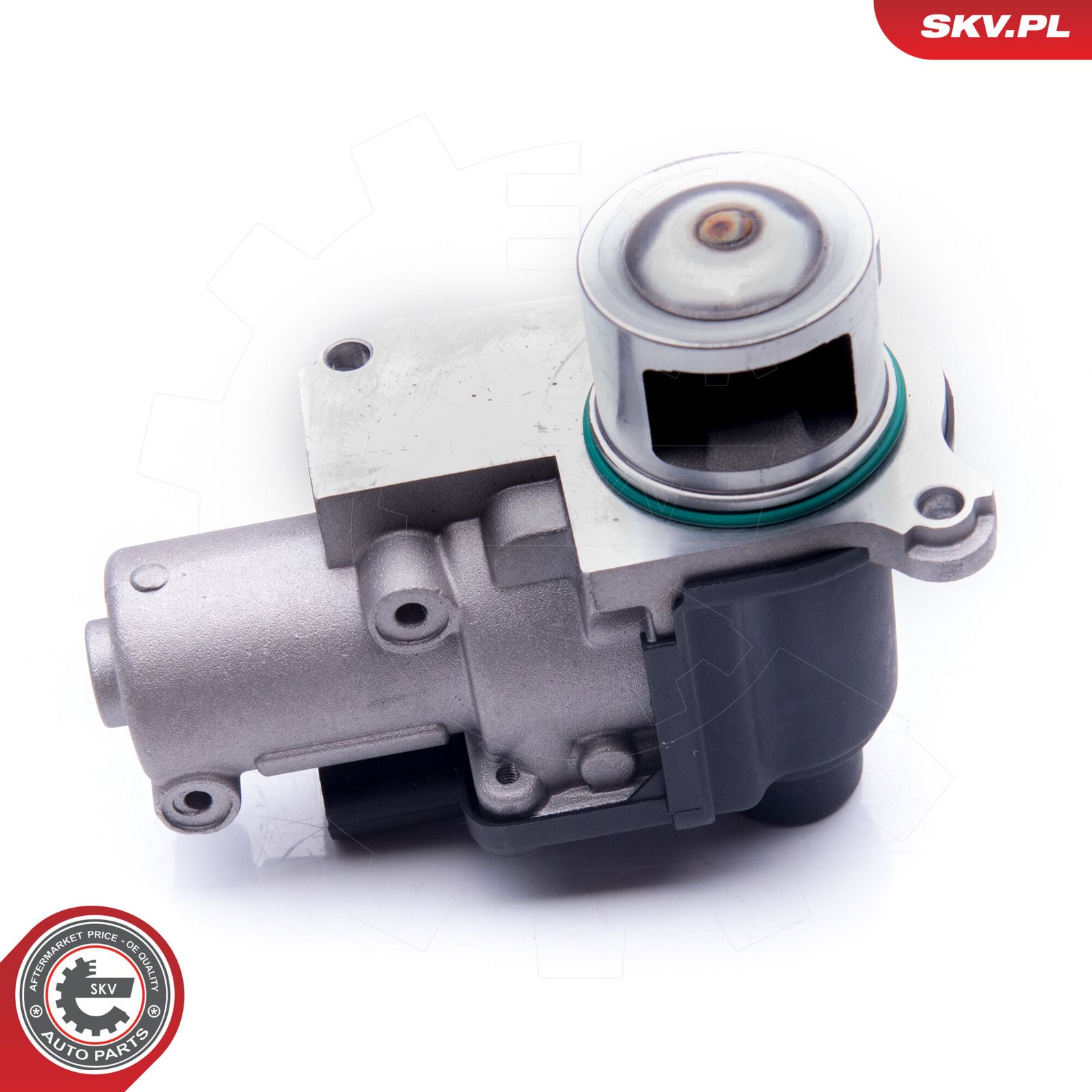 EGR Valve-2