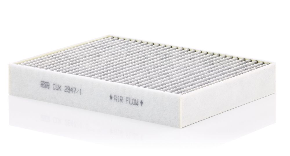 filtras, salono oras