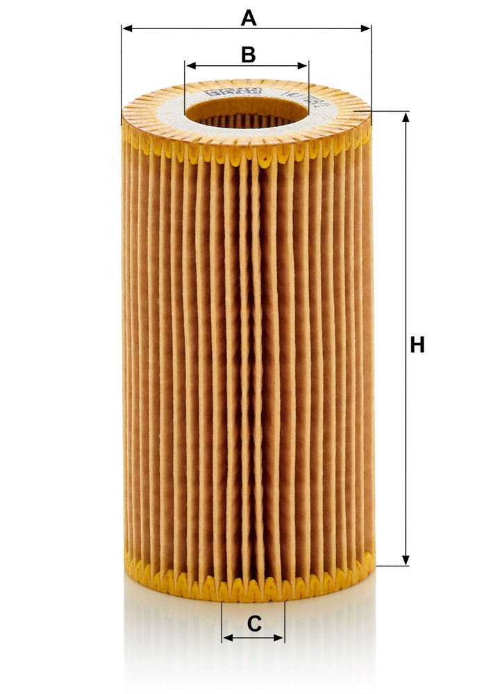 Oil Filter-3