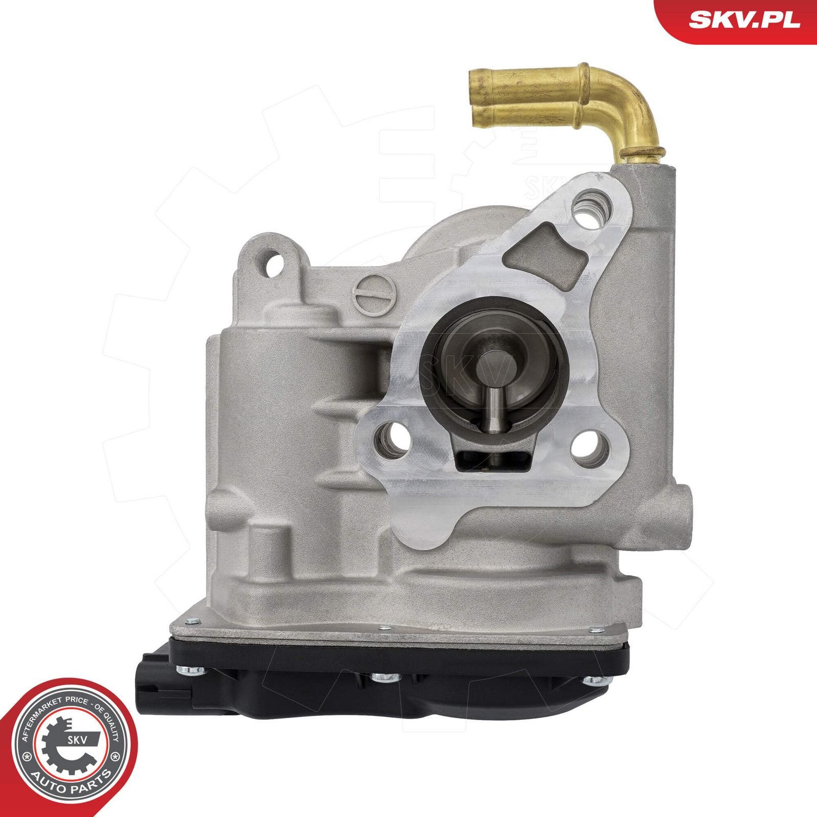 EGR Valve