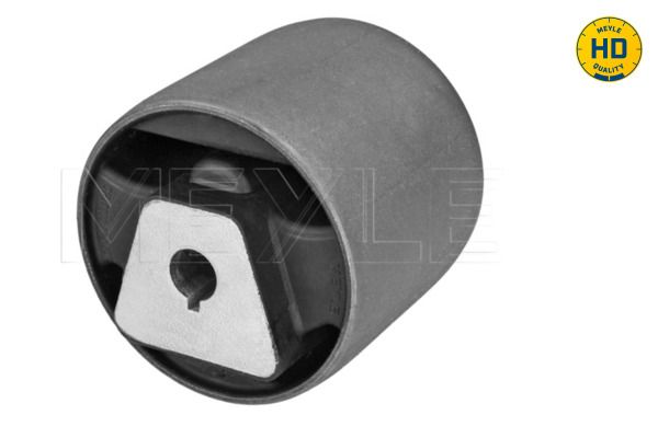 Mounting, control/trailing arm