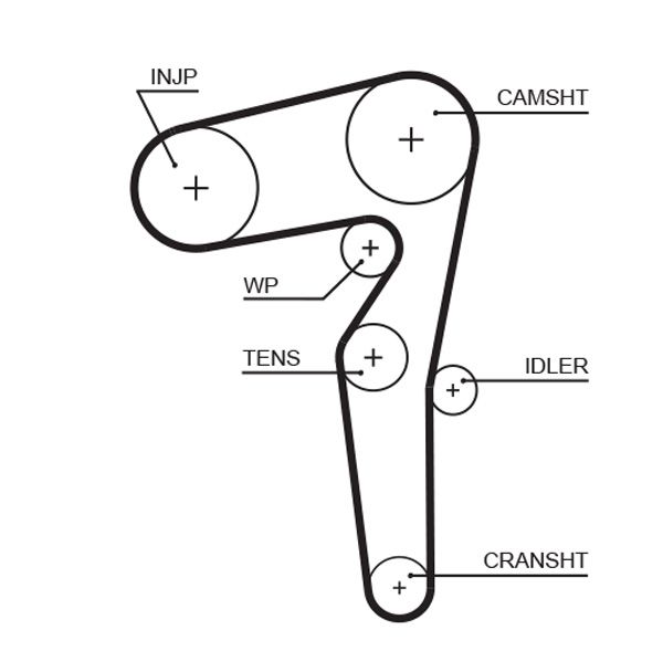 GATES 5646XS Timing belt