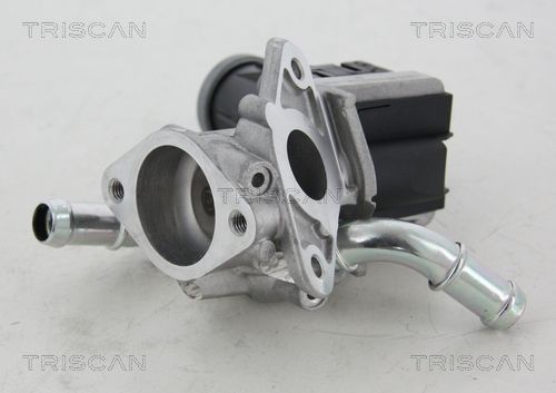 TRISCAN 8813 16036 Egr valve